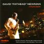 David Fathead Newman - Cityscape