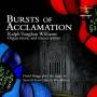 David Briggs - Bursts Of Acclamation