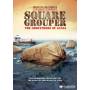 Square Grouper: The Godfathers Of Ganja - Square Grouper: Godfathers Of Dvd [US-Version, Regio 1]