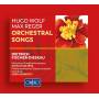 Fischer-Dieskau / Soltsz / Mnchner Rundfunkorchester - Orchestral Songs