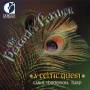 V / A - THE PEACOCK'S FEATHER