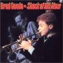 Brad Goode - Shock Of The New