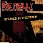 Ike Reilly - Sparkle In The Finish