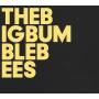 The Big Bumble Bees - The Big Bumble Bees