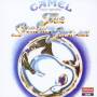 Camel - Snow Goose
