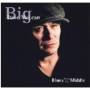 Big McLean Dave - Blues From The Middle
