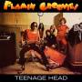 Flamin Groovies - Teenage Head
