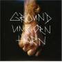 Ground Unicorn Horn - Damn I Wish I Was Fat