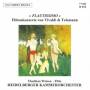 Watson-Flte / Heidelberger KO - Fltenkonzerte
