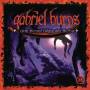 Gabriel Burns - 25/...dem Winter folgte der Herbst (Remastered Edi