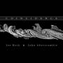 Joe Beck - Coincidence