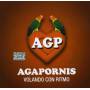 Agapornis - Agapornis