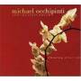 Michael Occhipinti - Chasing after light