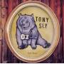 Tony Sly - Sad Bear