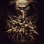 Permutation - Transience