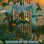 Polterchrist - Engulfed By The Swarm