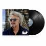 Niedeckens Bap - Alles fliesst (2LP)