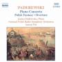 Janina Fialkowska / Antoni Wit / N - Klavierkonzert/Polnische Fantasie