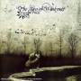 Sun Of Weakness - Trompe L'oil
