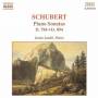 F. Schubert - Piano Sonatas 784 & 894
