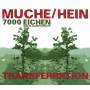 Matthias Muche / Nicola L. Hein - 7000 Eichen