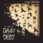 Lost Brothers - New Songs Of Dawn & Dust