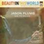 Jason Plumb And The Willing - Beauty In This World