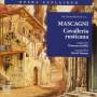 David Timson - Introduction To Cavalleria Rus