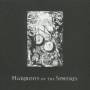 V / a - Harmony Of The Spheres / Various