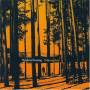 Stephen Fearing - Yellowjacket