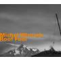 Michel Wintsch - Roof Fool
