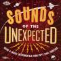 Various - Sounds Of The Unexpected-Weird & Wacky Instrumen