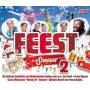Various - Feest In De Sneeuw 2