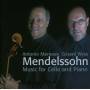 Antonio Meneses / Gerard Wyss - Music For Cello & Piano
