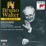Brahms - Symphony 1 / Haydn Variations
