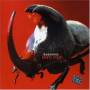 Guasones - Toro Rojo