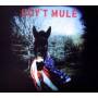 Gov't Mule - Gov't Mule