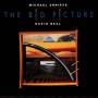 Michael Shrieve - THE BIG PICTURE