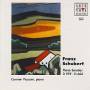Carmen Piazzini - Piano Sonatas