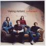 Waking Ashland - Composure