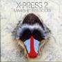 X-press 2 - Makeshift Feelgood