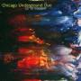 Chicago Underground Duo - Twelve Degrees Of Freedom