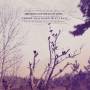 Lee Bains & The Glory Fires - There Is A Bomb In Gilead