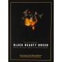 Black Beauty Breed - Black Beauty Breed [US-Version, Regio 1/A]