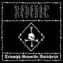 Revenge - Triumph-genocide-antichrist