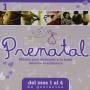 Prenatal 1 / Various (arg) - Prenatal 1 / Various