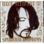 Dave Stewart - Dave Stewart & The Spiritual Cowboys