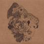 Dimlite - Prismic Tops