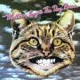 Levy Melton & The Dey Bros. - MELTON,LEVY & THE DEY BROS