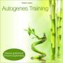 R Electric Air Project & Thomas Uuml;diger Siegel Vietze - Autogenes Training